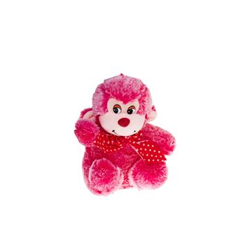 Małpka Kolorowa-8647