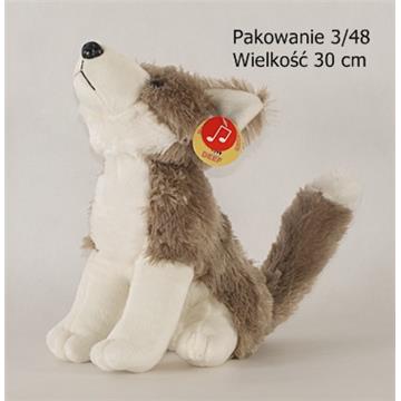Wilk Wyjący!-17164