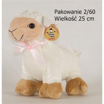 Owca Duża-17315