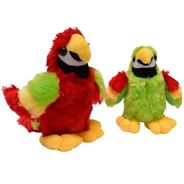 Papuga Średnia-28296