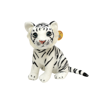 Biały Tygrys Średni-25672