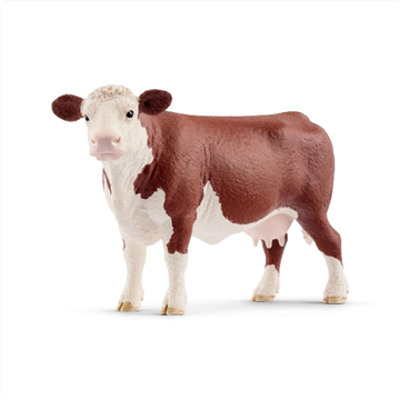 SLH 13867 Krowa Rasy Hereford-18112