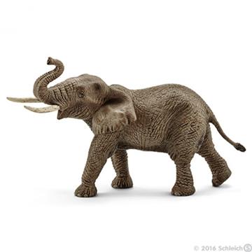 SLH 14762 Samiec Słonia Afrykańskiego-20711
