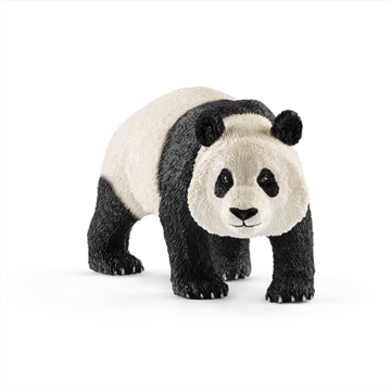 SLH 14772 Panda Wielka Samiec-18000