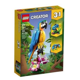 LEGO 31136 Egzotyczna papuga-27900
